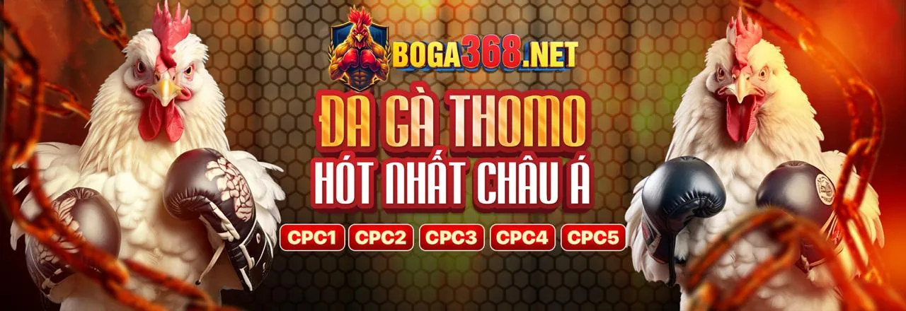 Tổng quan về nền tảng cá cược trực tuyến kubet zz